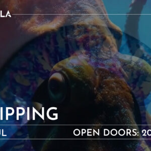 Tripping - Hoymans - preventa